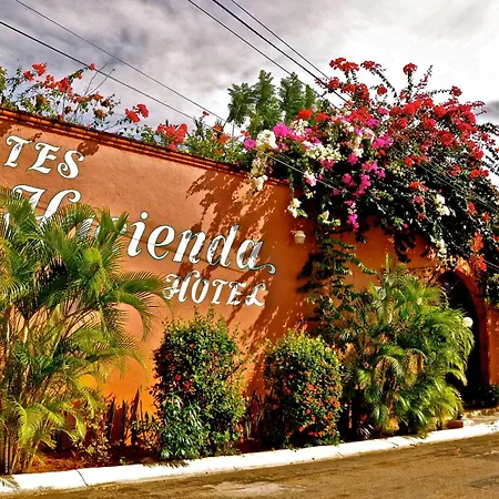 Suites La Hacienda-3